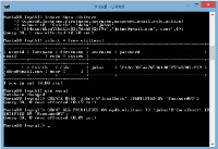 xampp shell insert